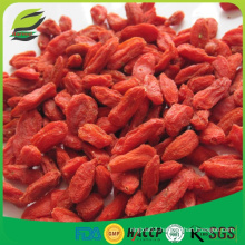 Jagody goji berries dried wolfberry